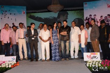 Its My Life Movie Audio Launch